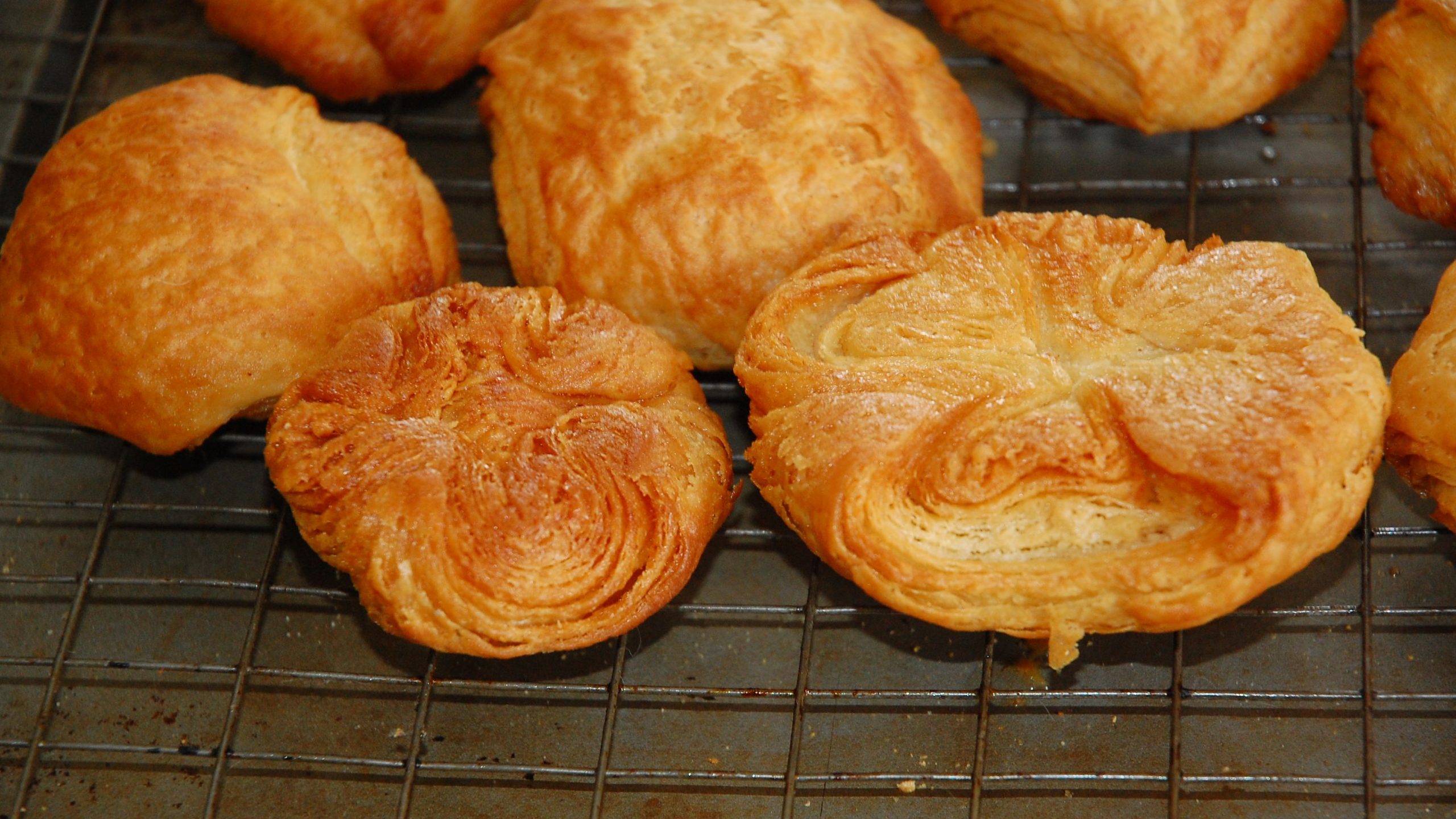 Rowies with their lamination showing