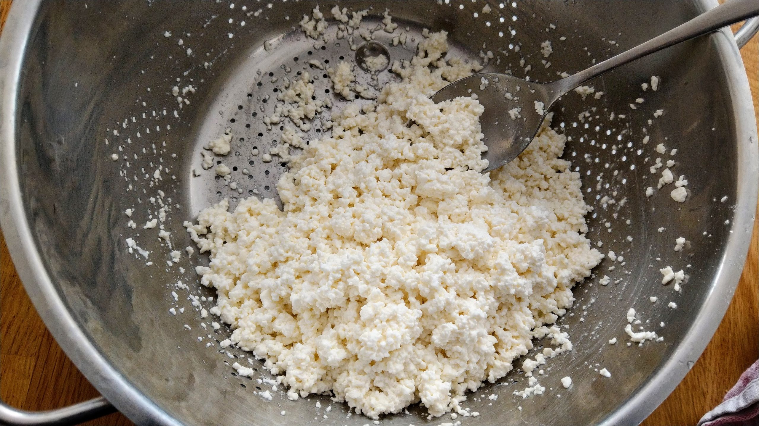 Mostly-drained curds in the colander
